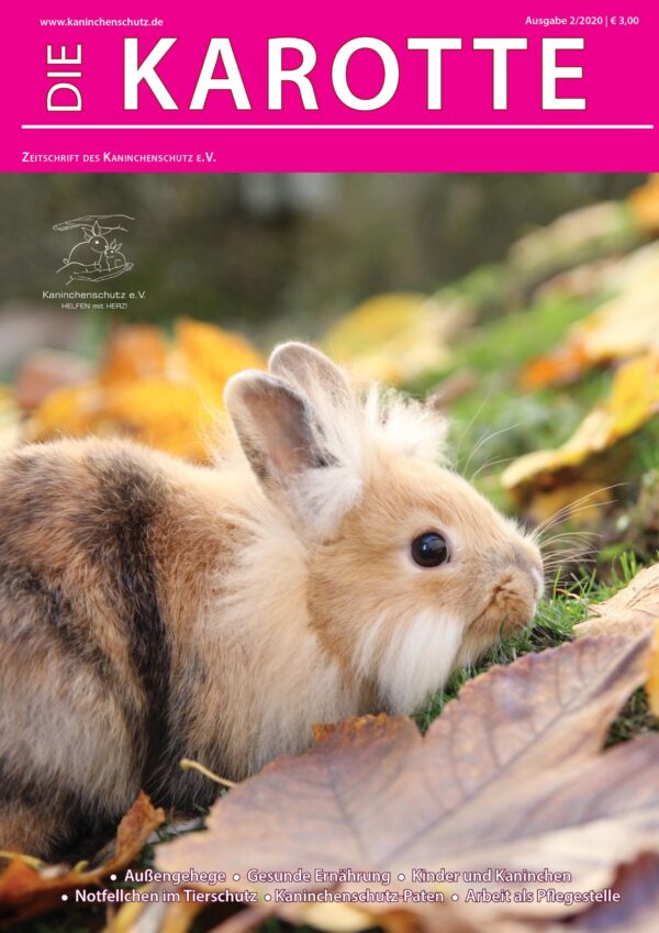 "Die Karotte" - Archiv