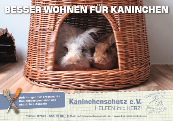 Unser Einrichtungsratgeber "Besser wohnen für Kaninchen"
