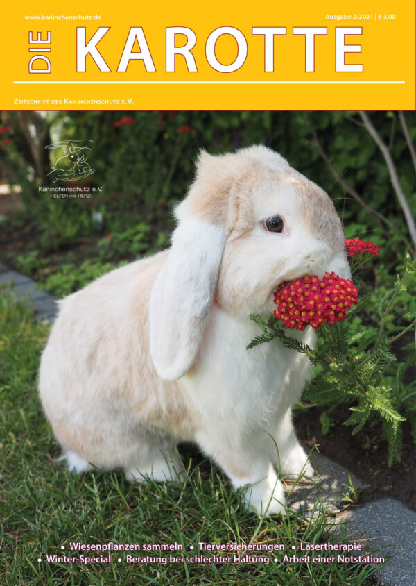 "Die Karotte" - Ausgabe 2/2021