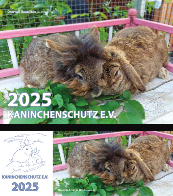 Sparpaket - 2 Kaninchenschutz Kalender 2025 (Wand- und Tischkalender)