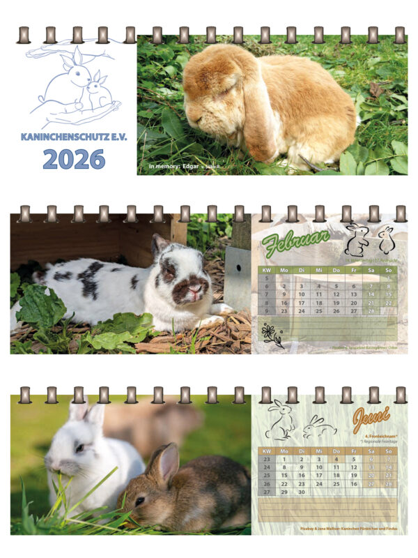 Kaninchenschutz Tischkalender 2026